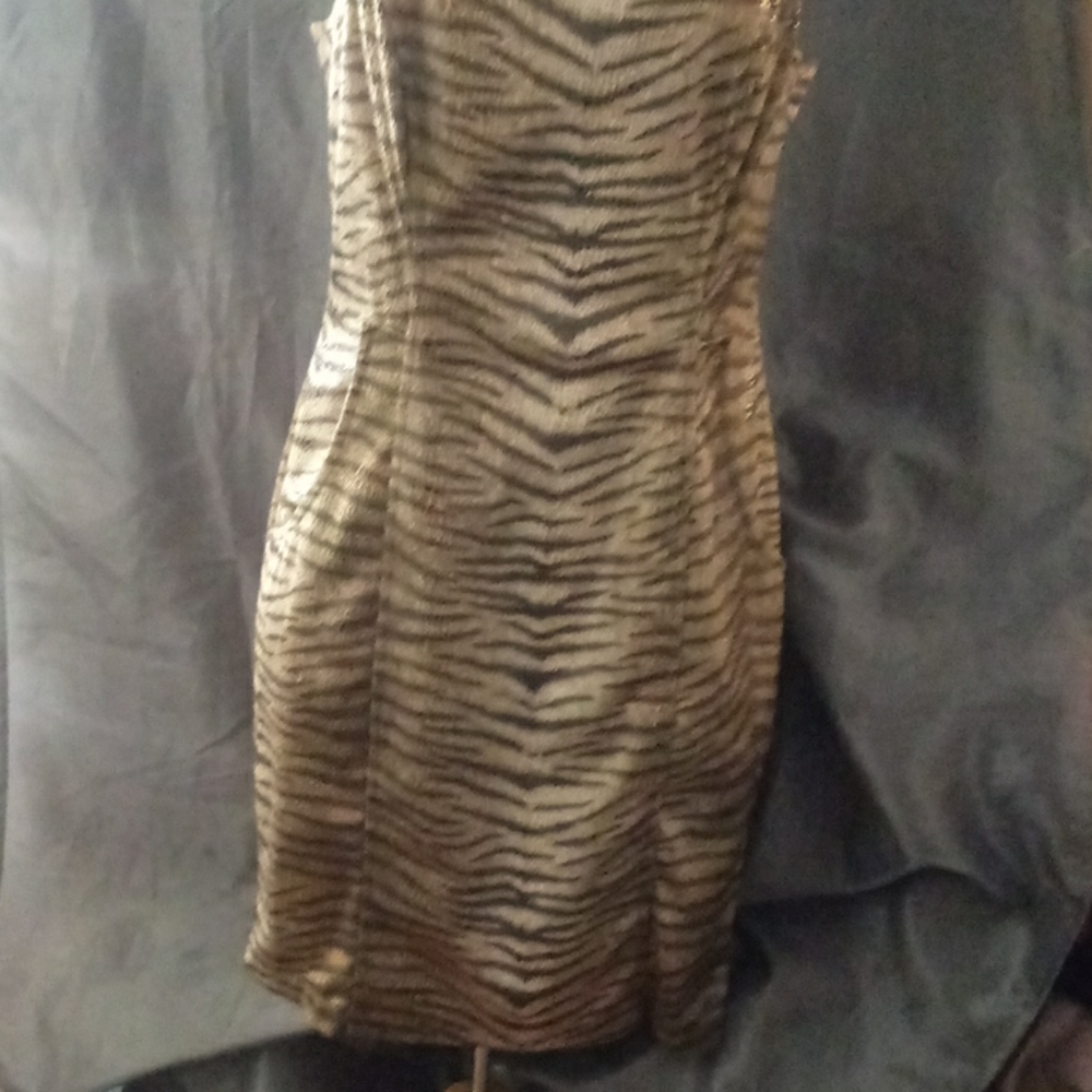 Dress - Picture 2 of 5